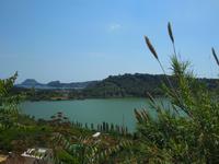 DSCN8619