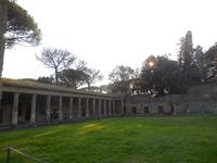 DSCN8909