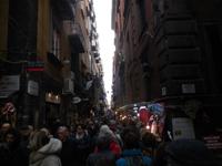 DSCN8929