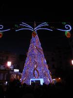 DSCN8959