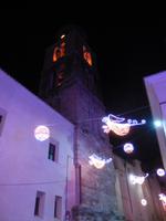 DSCN8963
