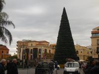 DSCN8965