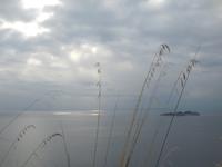 DSCN8977