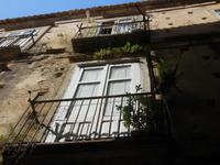 DSCN9170