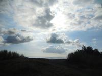 DSCN9231