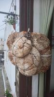 Das traditionelle Brot. 
