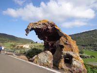Der Elefant