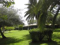 Der Garten im Hotel 