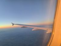 Der Sonne entgegen