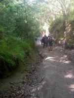 Der Weg nach unten