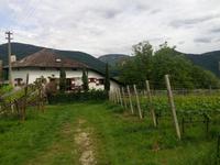 Der Weg zum See