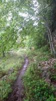 Der verwunschene kleine Wanderpfad