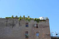 Die Gärten der Römer