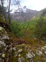 Die Natur unterwegs