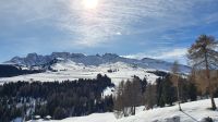 Die Rosszähne