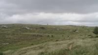 Die kleine Gruppe unverzagt bei Wind und Wetter beim Wandern