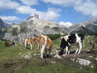 Dolomitenidyll