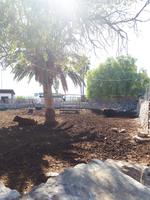 Donnafugata