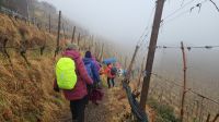Eisacktal Wanderung Kastanienweg
