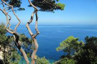 Elba