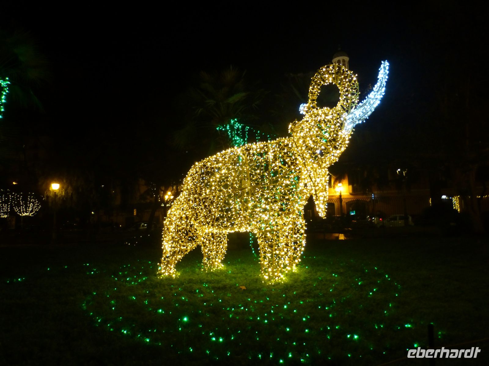 Elefant und … 