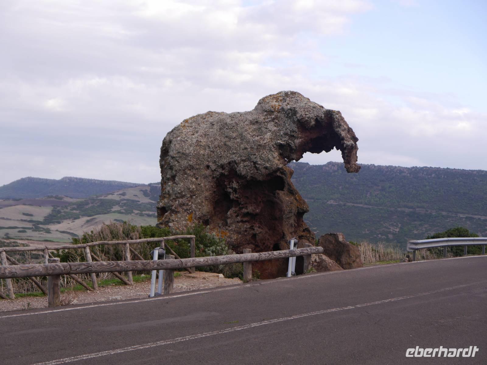 Elefant