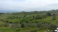 Empoli, Weinverkostung auf dem Bauernhof
