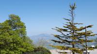 Erice