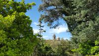 Erice