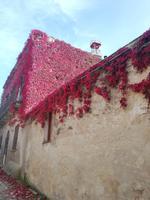 Erice