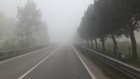 Fahrt durch das Po-Delta