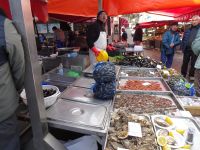 Fischmarkt Catania