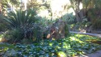 Forio, Botanischer Garten La Mortella