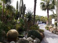 Forio, Park Hotel Terme Mediterraneo