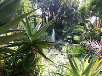 Forio, Rundgang mit Gabi, Garten La Mortella