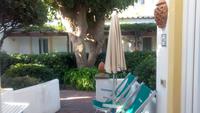 Forio, unser Hotel Tritone