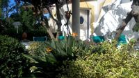 Forio, unser Hotel Tritone