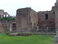 Forum Romanum - Garten der Vestalien