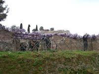 Forum Romanum Rom