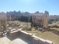 Forum Romanum: Blick auf den Palatin Hügel