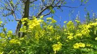 Frühling