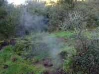 Fumarole