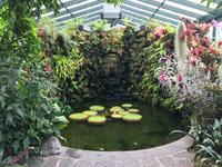 GARTEN LA MORTELLA