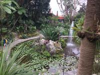 GARTEN LA MORTELLA