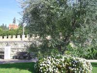 Garda am Gardasee