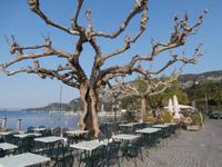 Gardasee in Garda