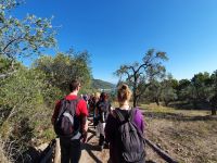 Gargano, Wanderung zur Vignanotica Bucht