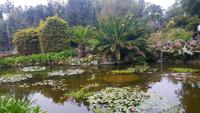 Garten La Mortella