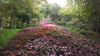 Garten und Schloss Trauttmansdorff 