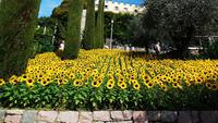Garten und Schloss Trauttmansdorff 